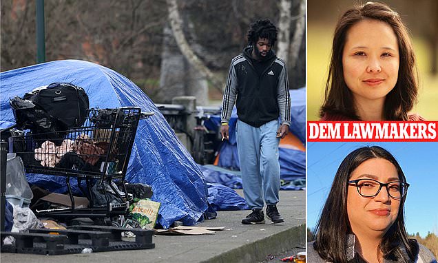 www.dailymail.co.uk