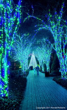 9ff124dddba703243da01db13eacf9af.jpg