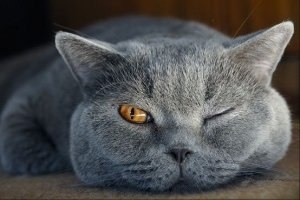 s-Always-with-one-eye-open.jpg