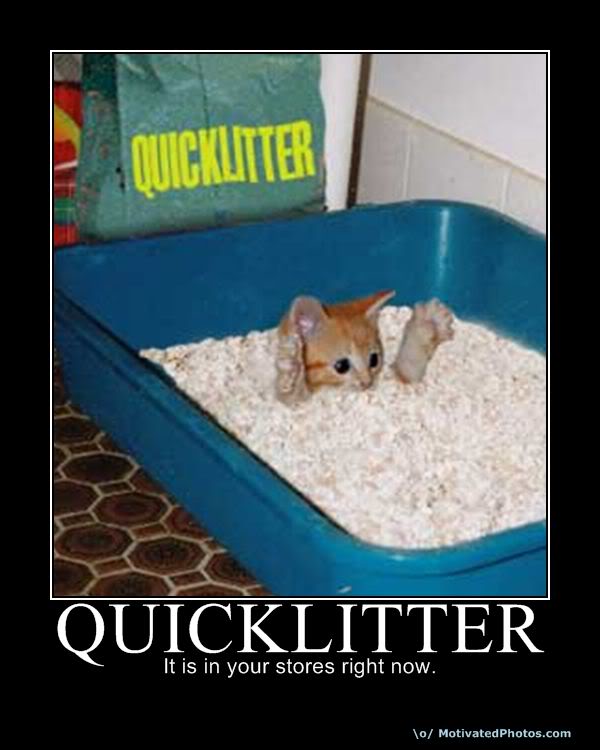 633692955456204460-quicklitter.jpg