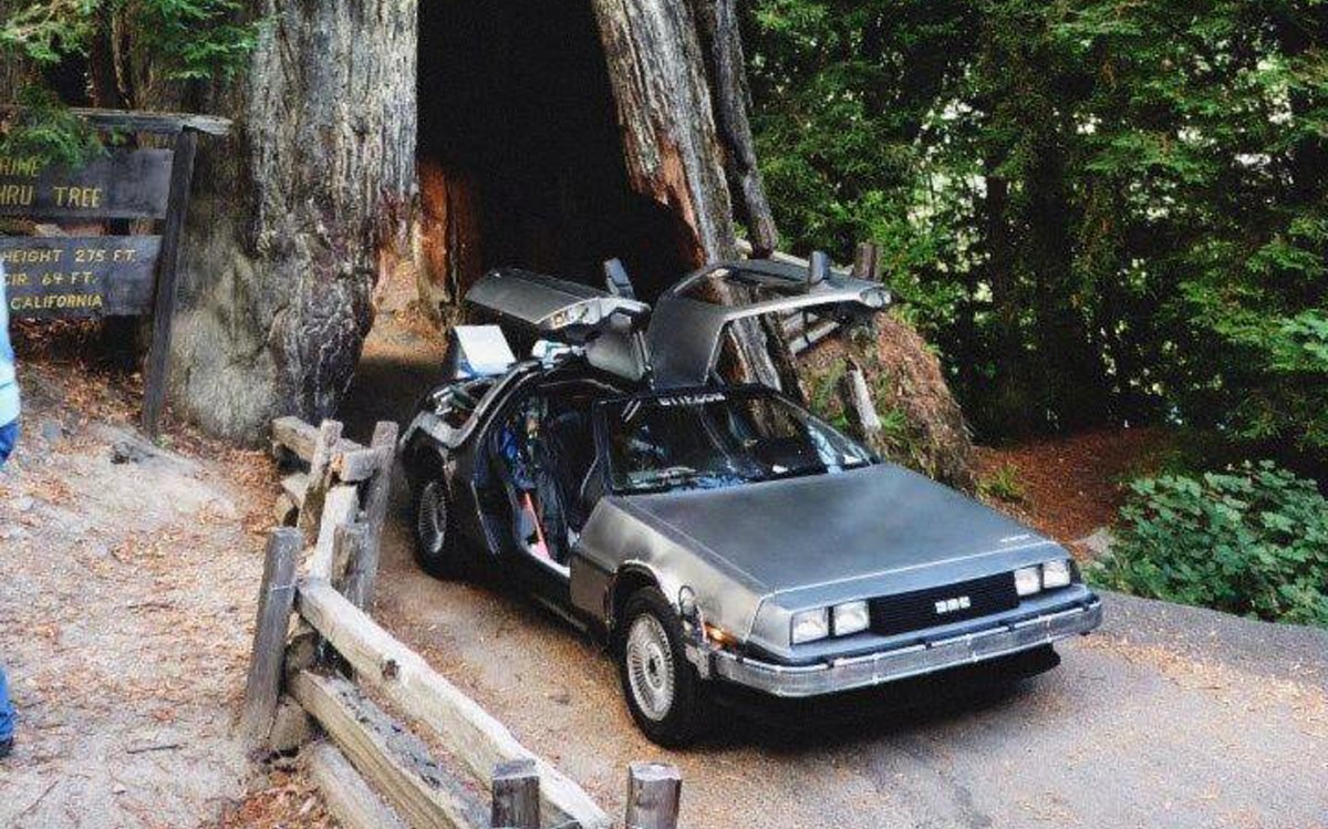 shrine-tree-delorean.jpg