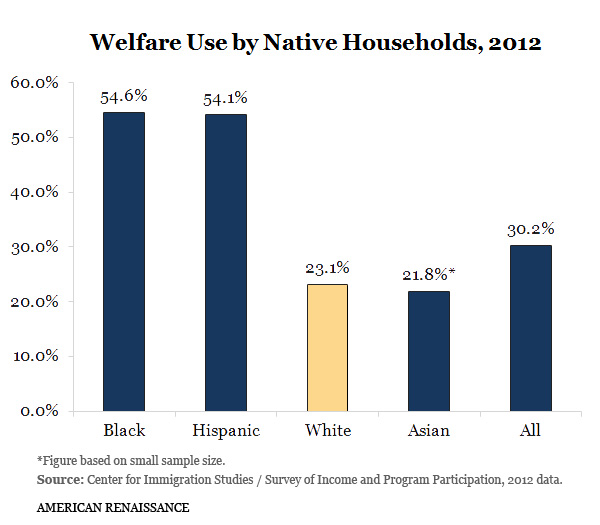 WelfareUseNativeHouseholds.jpg