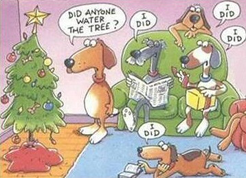 christmas_tree_dog.jpg