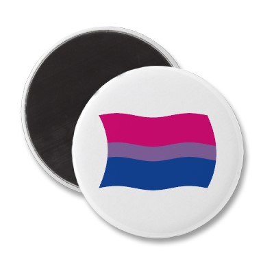 bisexual_pride_flag_magnet-p147021357000456230qjy4_400.jpg