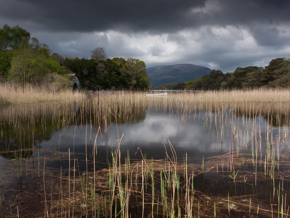 muckross-lake-ireland_58929_990x742.jpg