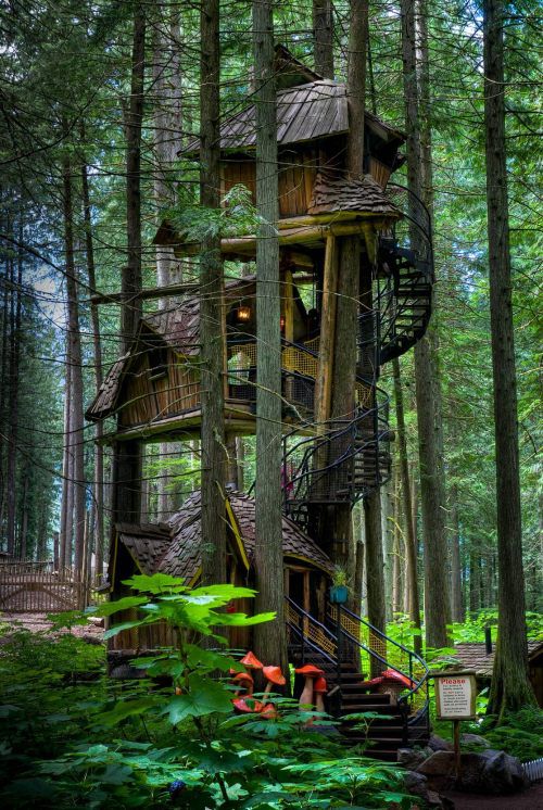 treehouse_zpsc64f7507.jpg