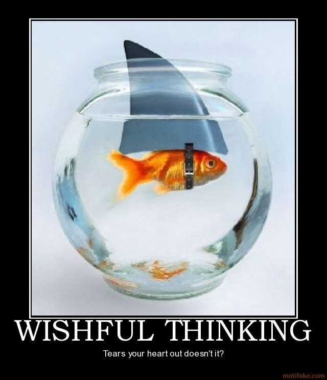 wishful-thinking-demotivational-poster-1282791039.jpg