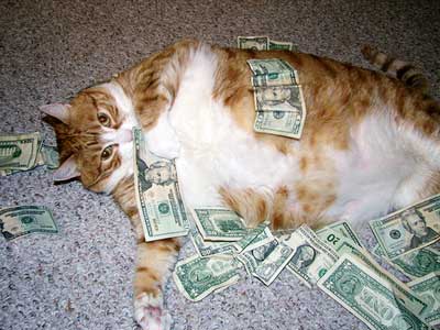 fat_cat.jpg