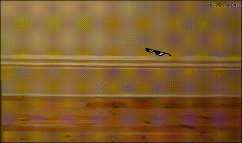 For+Glorious+Admin....+...and+your+reaction+folder_d10ac6_5152545.gif