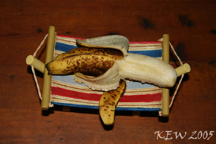 banana_hammock.jpg