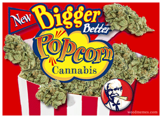 popcorn-cannabis-memes.jpg