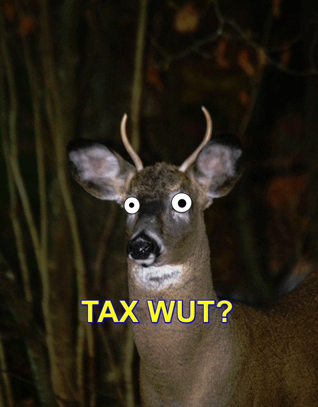 lc0PmbENWCKc.gif