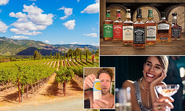 www.dailymail.co.uk