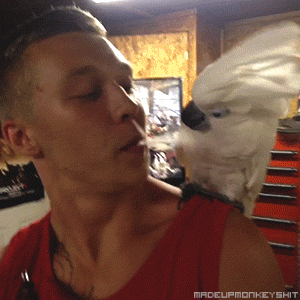 tumblr_mr4oltvLjE1s2kbyro1_400.gif